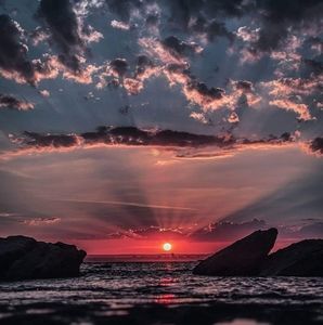 Meet your Posher, Peter